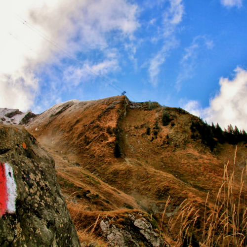 Hiking trail